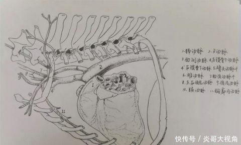 『借来』学霸的笔记原来长这样……网友:期末了我想借来复习!