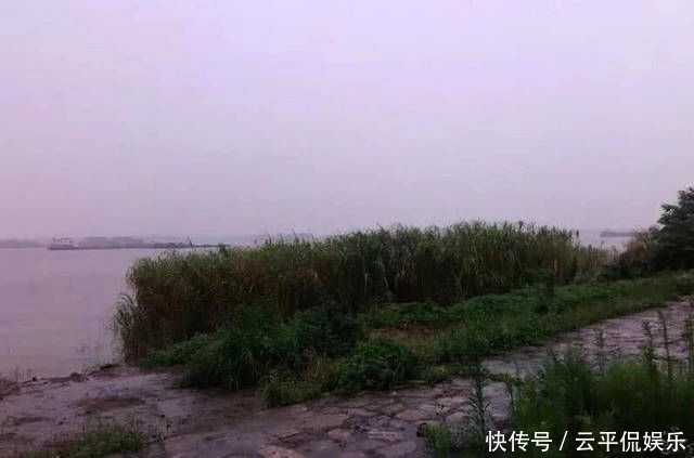  不折不扣：垂钓长江边，不折不扣的当了回“白条杀手”