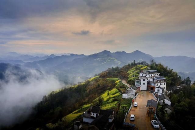  强国■学习强国 | 安徽歙县：云雾花海惹人醉