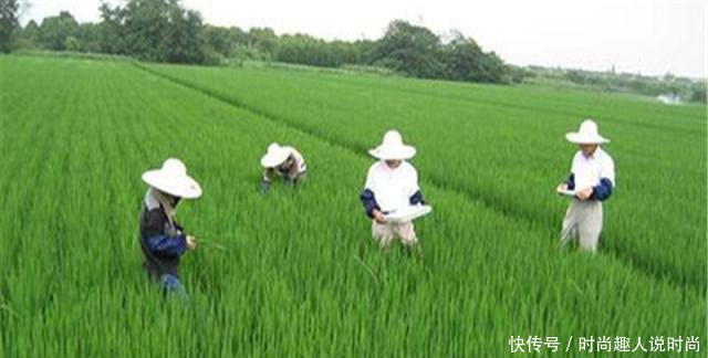 【田鼠】年减产100亿斤粮食,该物种被端上餐桌,还是广西的特色夜市美食