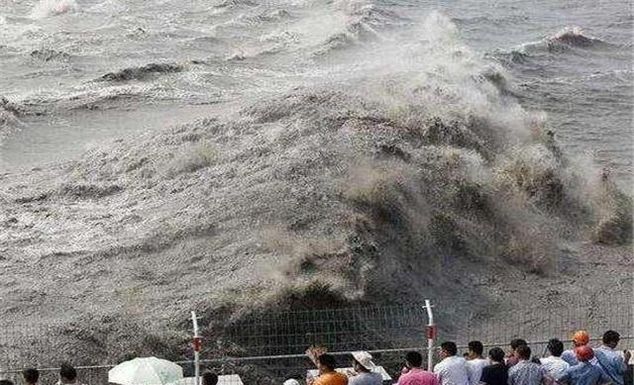 大海退潮的时候, 海水都去哪里了? 看完解开多年“疑惑”