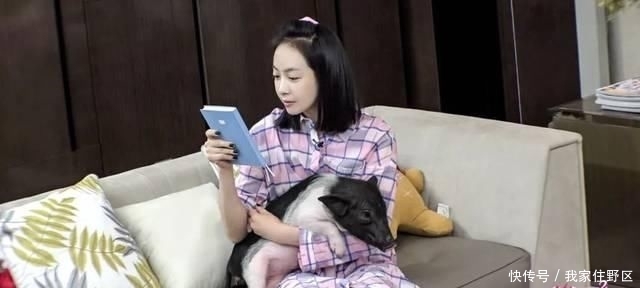 面料■2020“睡衣”火了!宅在家,也要穿得很时髦!