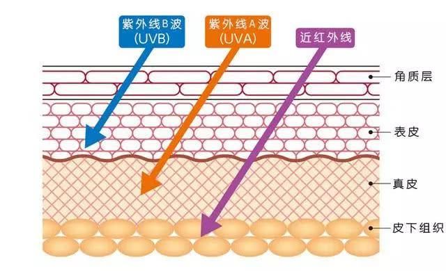 21岁的你拿什么拼过，51岁的周慧敏，48岁的莫文蔚，43岁的佘诗曼