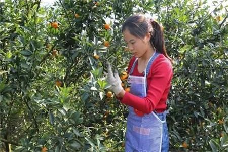 2019年女性户籍新政策，出嫁女可以分户也可申请宅基地了