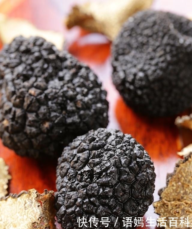  「收购价」一斤直逼300元，市场供不应求，就连种植户都说真是疯