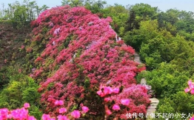 今天跟大家推荐一个好玩的地方,湖北黄冈——英山县