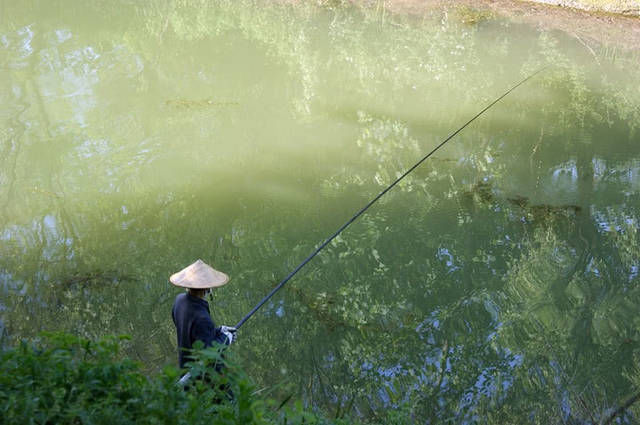 「陌生」陌生水域作钓不要着急确定钓点,一看二闻三听四查之后再确定