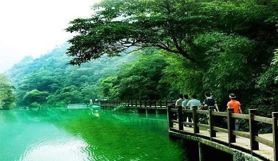 隐藏在南川的绿野仙踪，避暑旅游，清凉打卡不容错过！