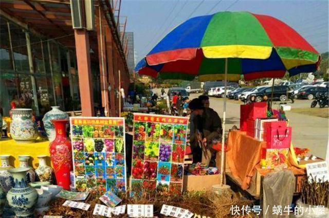  『不良商贩』花市逛“路边摊”，要警惕用“这种方式”卖花的，谁买谁后悔！