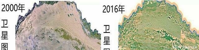  方公里■种树都可以拿诺贝尔和平奖, 为什么库布齐治沙不给获奖