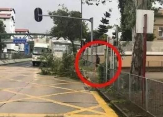 张国立南极科考站