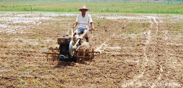 粮食最低收购价来了，算算一个农村家庭，一年来的种粮收入