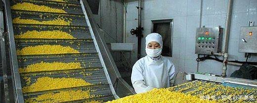 未来几年，在农村开这4个加工厂肯定赚钱