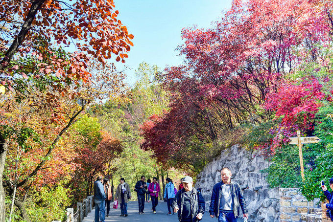 红遍万山的红叶谷【2020热门旅游景点】