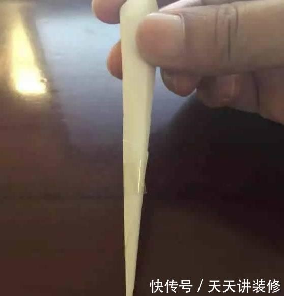  『扦插』养护神器：塑料瓶千万别扔，用来养花用处多