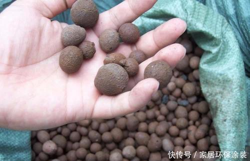  不再|养花怕“烂根”？“3种”东西来助你，盆底加一点，烂根不再有！