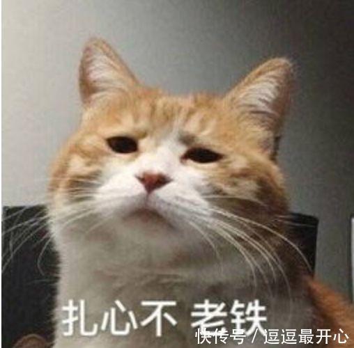 陈意涵镯子7万6、吴宣仪袜子1千6,这些101女