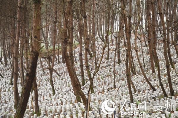  #相关负责人#帮扶“加码”！观山湖区云潭街道结对帮扶活动扎实开展