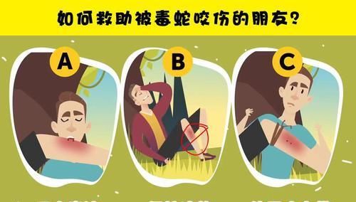 『技能』脑洞大开:能够考验你的生存技能的6个逻辑谜题