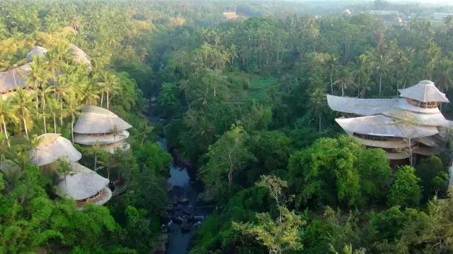 她用竹子建了一个别墅,引来全世界40多个国家围观