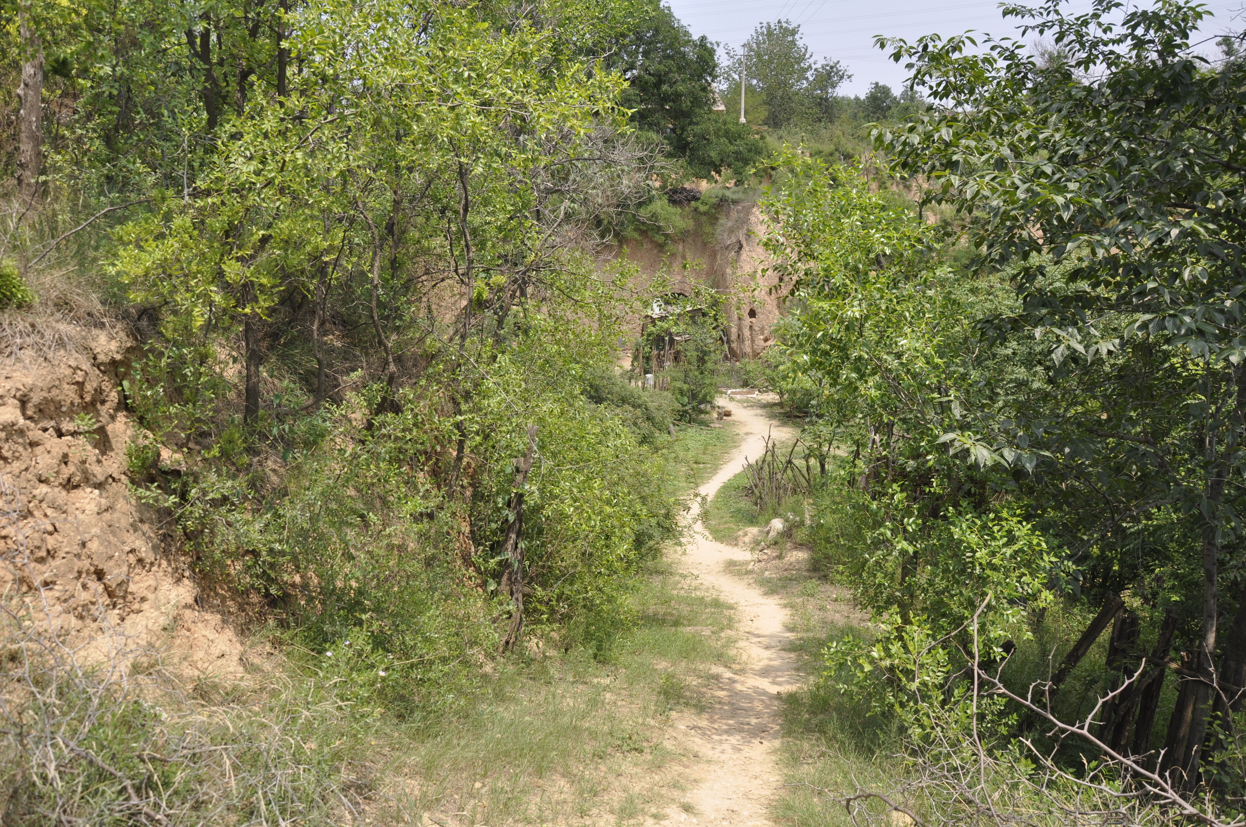 晋南一位6旬大叔年轻时用了一头牛换回来个媳妇，听大叔怎么说