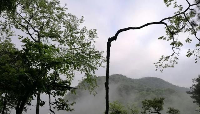 秋天到了，迈开脚步去旅游吧！四川和贵州的免费美景都在这里了