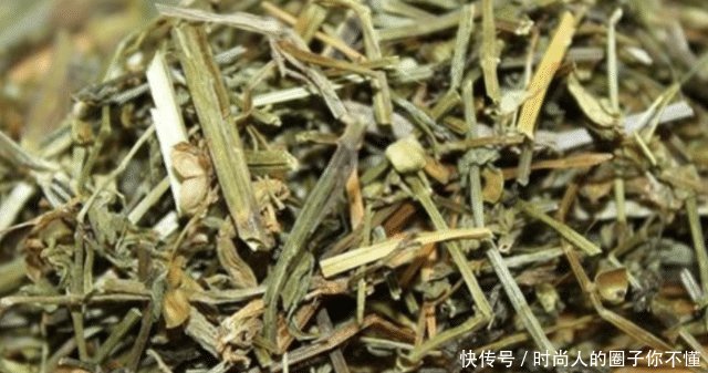  「药用价值」野外这种植物叫“半枝莲”农民曾把它当害草，如今