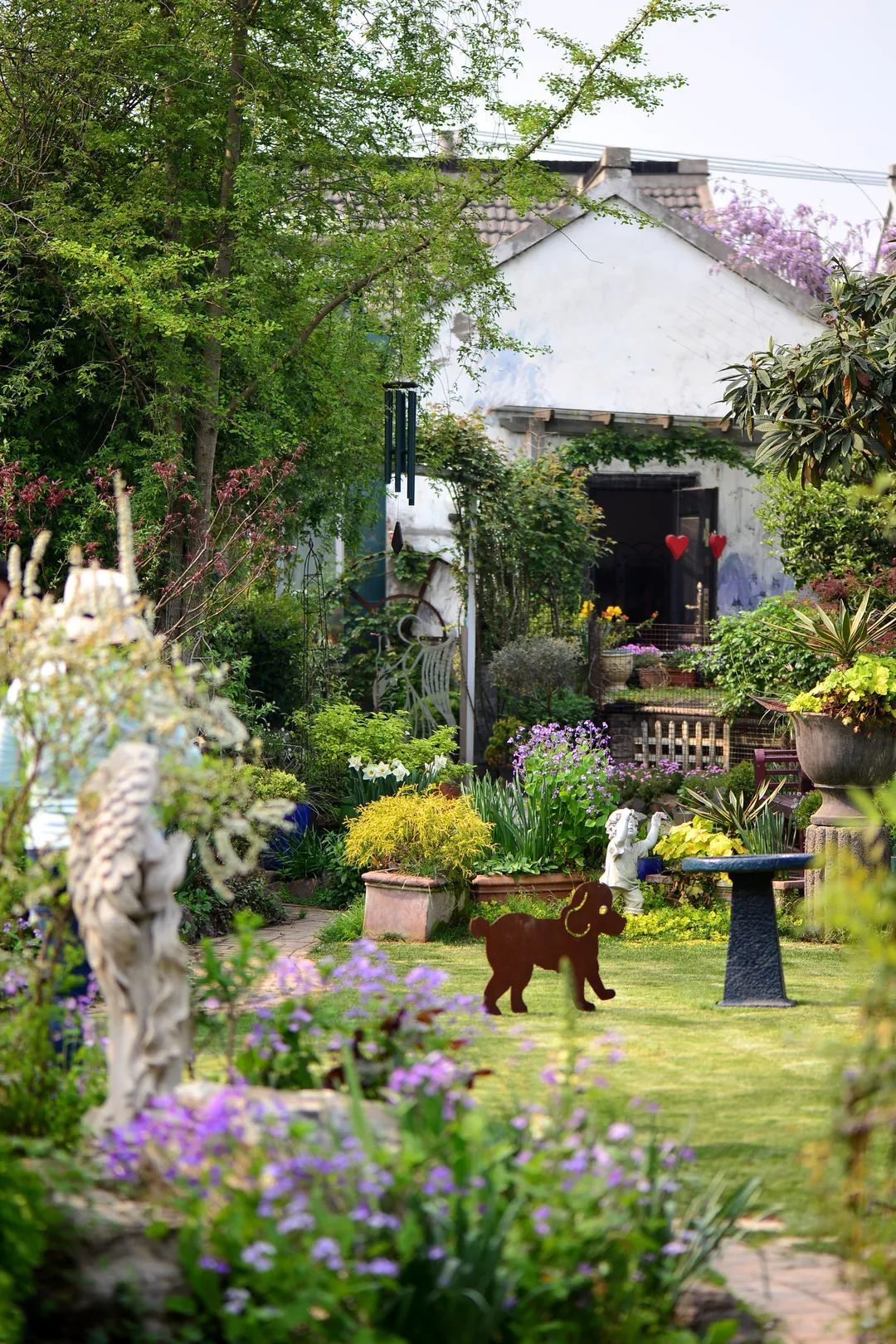 40岁高薪夫妇提前退休，造3000㎡花园惬意养老，还有酒坊！