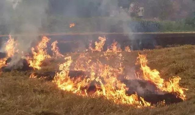 5月起，农村这5件事难办了，找村干部也没用，农民要提前准备！