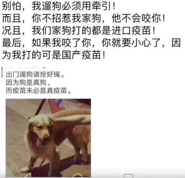 对不起,假疫苗这个锅我们狗不背