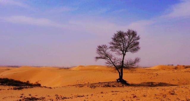  [沙子]中国沙漠多的是沙子，为何不用来建造房屋工程专家点出3个