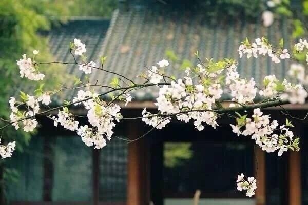 修行人一定要明白！在家自修！世间第一道场！