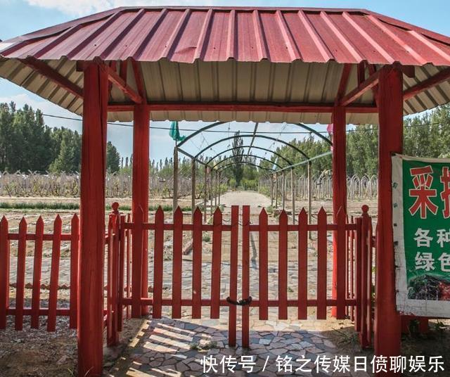  湖泊：国内最“争光”沙漠，治理25年遍布湖泊，如今收益高达百