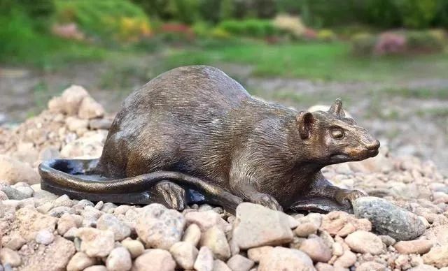 睡觉梦见这三种东西，行大运！