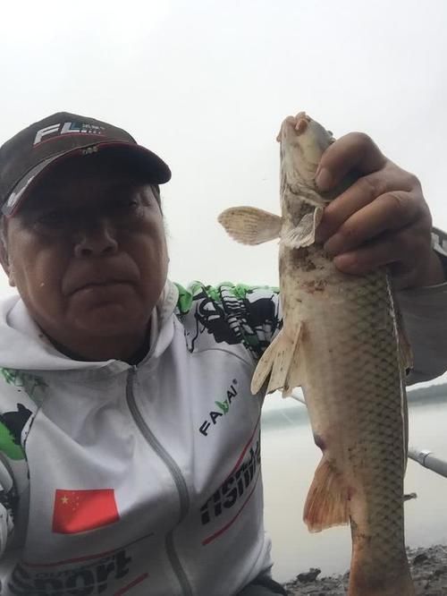 「回家」去了趟乌苏里江,带着满身的蚊子包和一米多长的胖头鱼回家了