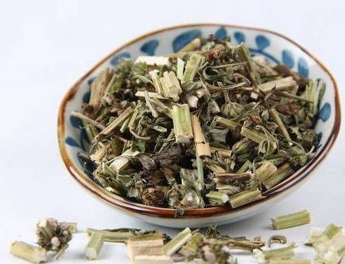  「些野草」益母草，女性的好伴侣，调理经血，活血化瘀，消除水肿，延缓衰老