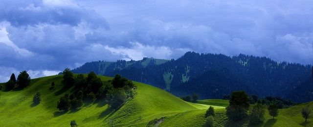 新疆伊犁，西北部的伊甸园，中国的普罗旺斯