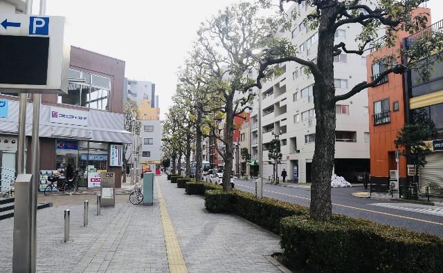 说走就走的旅行——回忆镰仓，浅草祈福，情怀东京