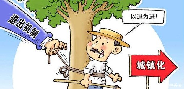 宅基地新政，农民放弃宅基地就可得到这三大补偿，补贴力度真大！