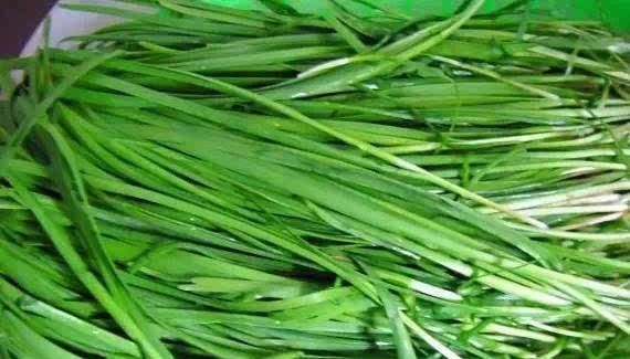  『韭菜』如果你想把韭菜种好，切掉后记得这样做，一茬韭菜比一茬韭菜还壮