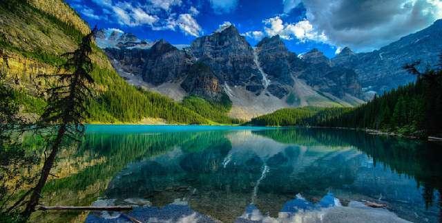 加拿大还不知悔？继油菜籽之后，加国又一农产品被禁止入境