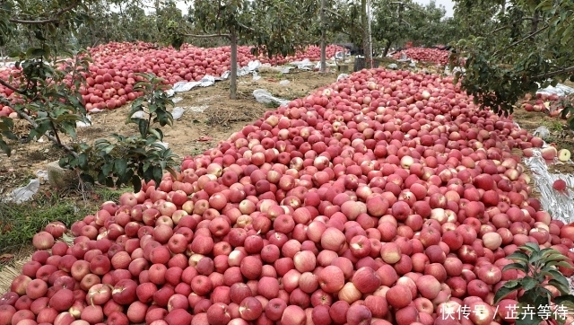  老人■农村男人到底有多“难”？农民老人：这1类人更不容易！您