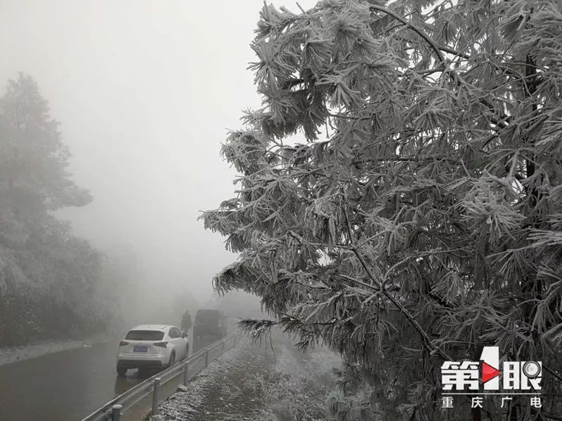 很冷，但也很美！今天重庆多地迎来降雪，你那里下雪了么