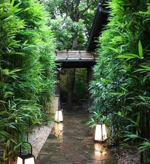 诗意心境，禅意鱼池，你所不知道的佛系庭院