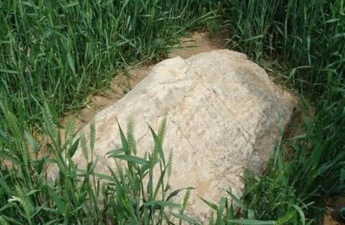 中国最小的山，60厘米高，网友吐槽：小学生都能跳过去