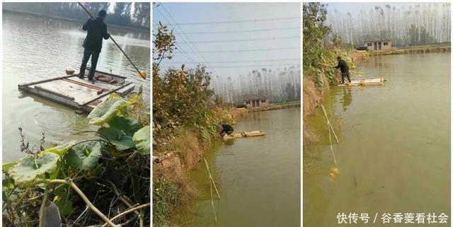  奇怪@奇怪的农村人：稀罕农产品懒得收，田里自生自灭