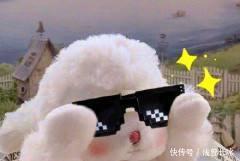  无色@爱化妆女孩看过来，春夏拒油腻，平价大牌控油散粉好物你pick谁？