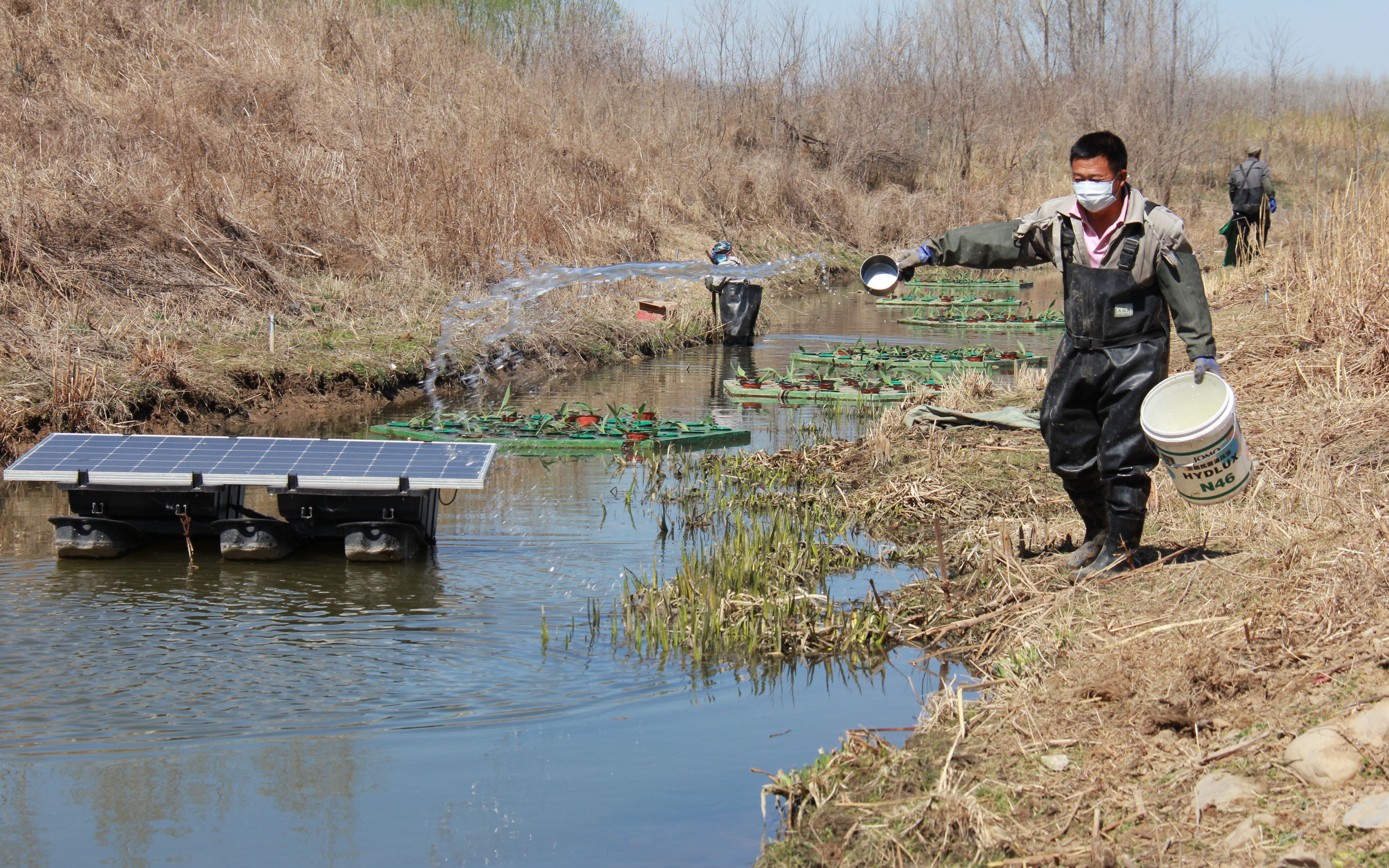  『河道』平谷马昌营河道生态治理项目复工复产