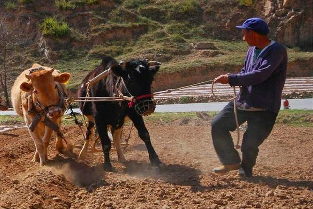 俗语：“三九不冷看六九，六九不冷倒春寒”，啥意思？过年冷不冷