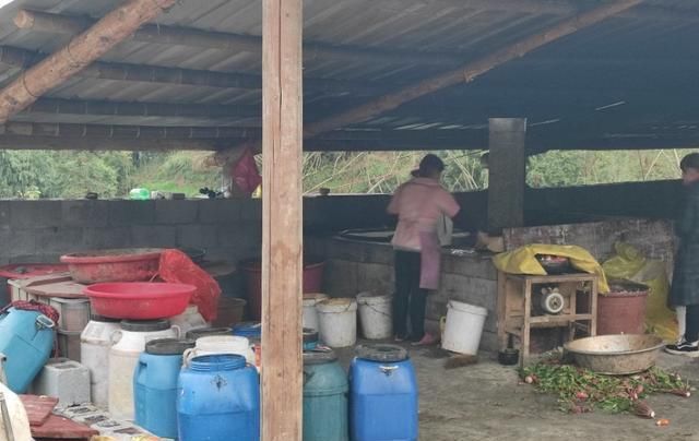  究竟■农村夫妇养猪成本只花两万，一年能赚30多万，究竟是怎么